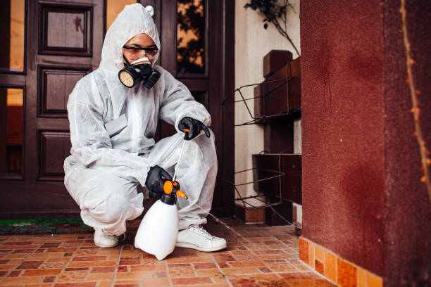 Reliable Cockroach Control contractor in Panama City, FL by Nex Pest Control